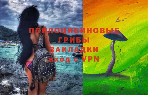 дмт Алзамай