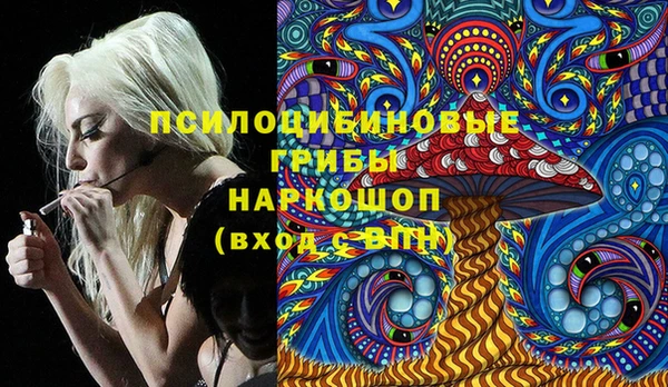 дмт Алзамай