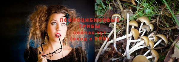 дмт Алзамай