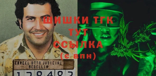 дмт Алзамай
